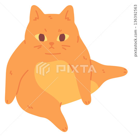 Sitting pet in funny pose. Lovely ginger cat Sitting pet in funny pose. Lovely ginger cat 136392563