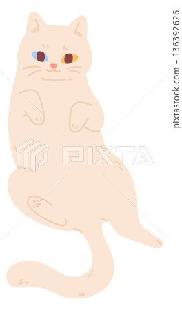 Beautiful cat with different color eyes. Graceful pet Beautiful cat with different color eyes. Graceful pet 136392626