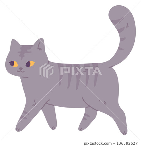 Walking cat. Adorable gray pet with happy face Walking cat. Adorable gray pet with happy face 136392627