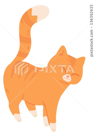 Happy cat walking. Pet with joyful face expression Happy cat walking. Pet with joyful face expression 136392635