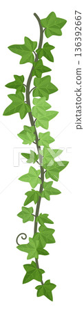Ivy vine vertical border. Jungle botany branch Ivy vine vertical border. Jungle botany branch 136392667