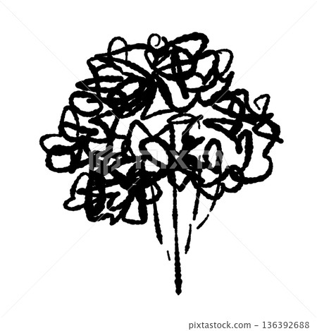 Monochrome illustration of curly parsley bunch silhouette material Monochrome illustration of curly parsley bunch silhouette material 136392688