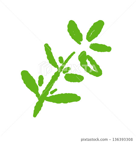 Illustration of curved thyme leaves. Dynamic green herb material. 136393308