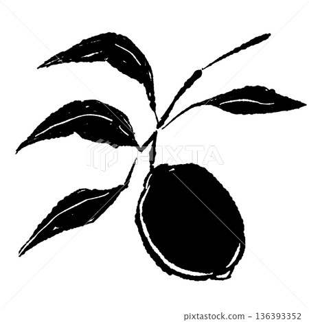 Monochrome illustration of lemons growing on a branch. Silhouette material of fruit with leaves and branches. 136393352