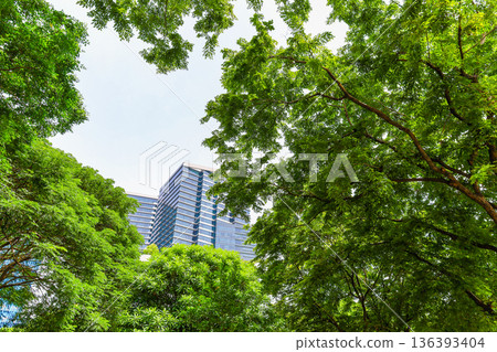 許多綠色辦公室街道風景 136393404
