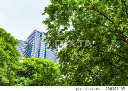 Landscape of many green office streets Landscape of many green office streets 136393405