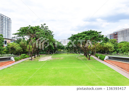Green urban park landscape Green urban park landscape 136393417