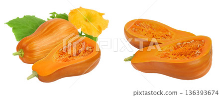 butternut squash half isolated on white background with full depth of field butternut squash half isolated on white background with full depth of field 136393674