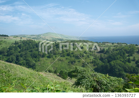 青山綿延至海邊,藍天下道路清爽宜人 青山綿延至海邊,藍天下道路清爽宜人 136393727