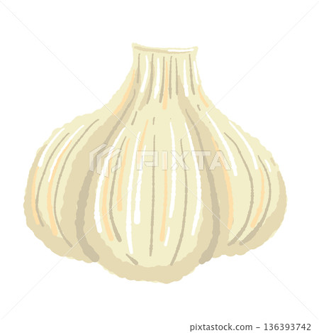 整顆大蒜（帶皮）新鮮球莖蔬菜 136393742
