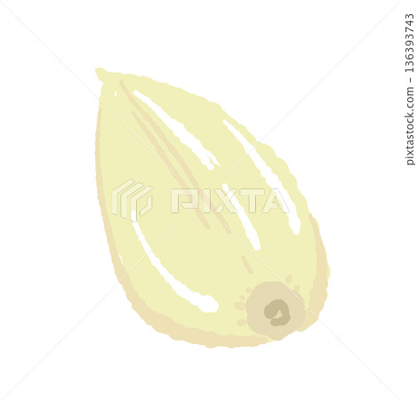 圖示為一塊帶皮大蒜，在烹飪前切成小塊 136393743