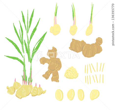 薑類組合裝:包含薑葉、薑根、薑片和薑絲。 薑類組合裝:包含薑葉、薑根、薑片和薑絲。 136393770
