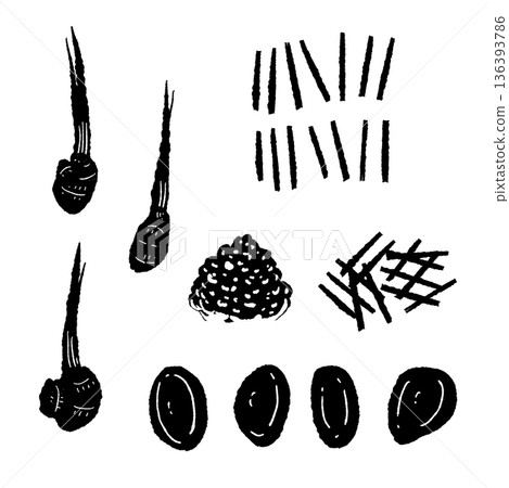 Ginger cooking cut set monochrome sliced, julienned and minced ingredients 136393786