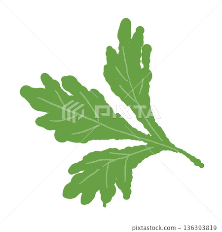鮮豔翠綠的香菜葉插圖,民族美食圖示素材 鮮豔翠綠的香菜葉插圖,民族美食圖示素材 136393819