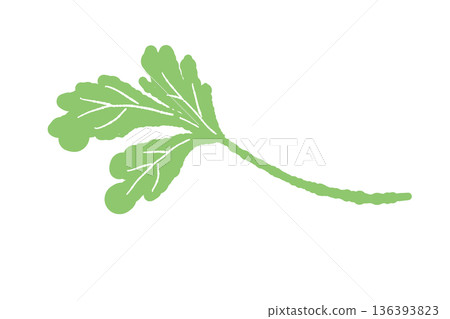 嫩香菜葉插圖,顏色柔和的草本植物 嫩香菜葉插圖,顏色柔和的草本植物 136393823
