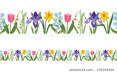 Seamless horizontal floral borders featuring vibrant spring flowers like tulips, irises, daffodils, snowdrops and forget-me-nots. 136394046