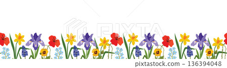 A beautiful floral seamless border of spring blossoms including grape hyacinths, irises, poppies and forget-me-nots. 136394048