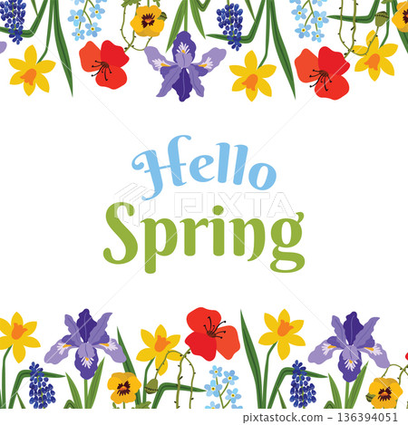 Colorful Hello Spring festive background with decorative top and bottom floral borders. 136394051