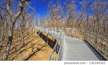Viewpoint of Penas LLanas, Spain 136394363