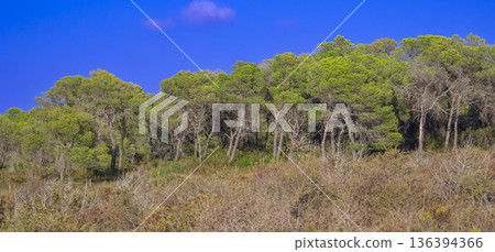 Peninsula de Llevant Natural Park, Spain Peninsula de Llevant Natural Park, Spain 136394366