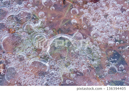 Winter Creations: The World of Ice Winter Creations: The World of Ice 136394405