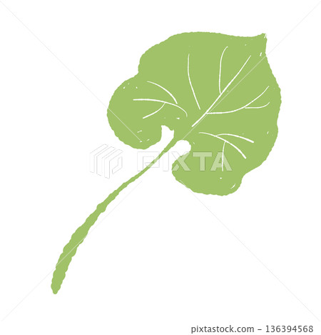 Illustration of wasabi leaves. Characteristic heart-shaped leaf material. 136394568