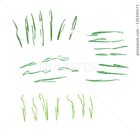 Illustration of shiso (green shiso) leaves, shredded shiso leaves used as a garnish for sashimi or as a condiment Illustration of shiso (green shiso) leaves, shredded shiso leaves used as a garnish for sashimi or as a condiment 136394571