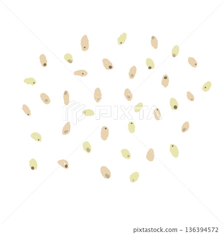 Illustration of white sesame seeds Sesame seeds used as a finishing touch or condiment for cooking Illustration of white sesame seeds Sesame seeds used as a finishing touch or condiment for cooking 136394572