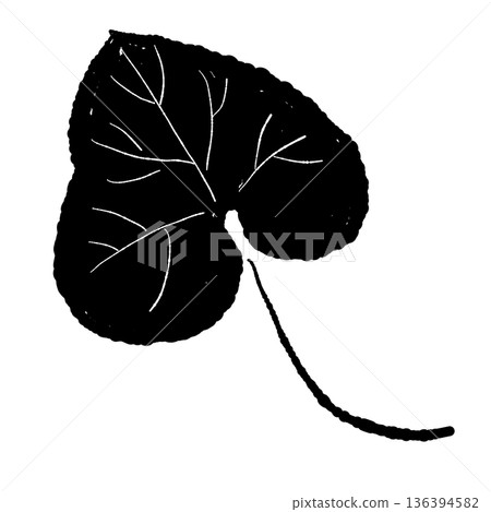 Monochrome illustration of a wasabi leaf with veins drawn. Realistic silhouette material. 136394582