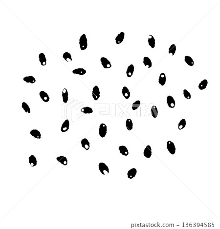 芝麻籽的單色插圖。芝麻粒的輪廓，用作烹飪的點睛之筆或調味品。 136394585