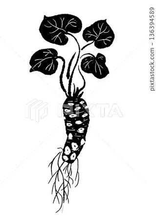 Monochrome illustration of a leafy wasabi plant, natural curved plant silhouette 136394589