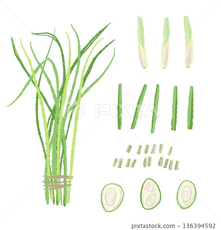 Lemongrass Variety Set: Bundles, stems, leaves, and slices 136394592