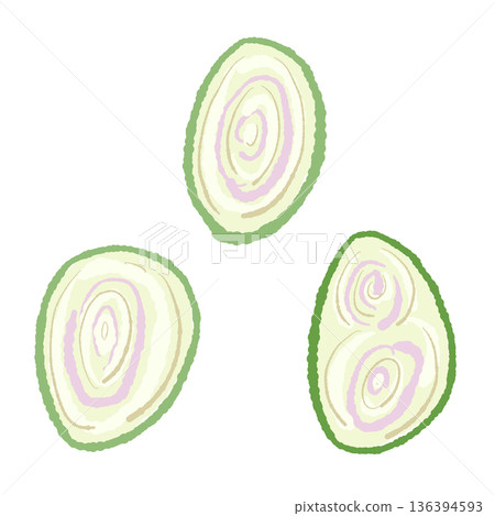 檸檬草切片（橫切面）示意圖，顯示了其獨特的紫色層。 136394593