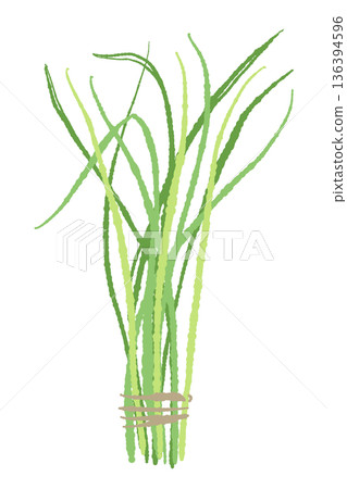 一束香茅的插圖。市面上販售的成捆新鮮香草。 136394596