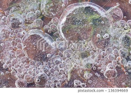 Winter Creations: The World of Ice Winter Creations: The World of Ice 136394669