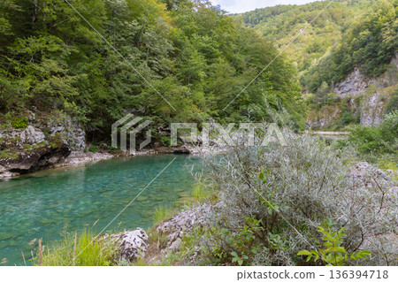 Tranquil turquoise Tara river winds through a lush forest Tranquil turquoise Tara river winds through a lush forest 136394718