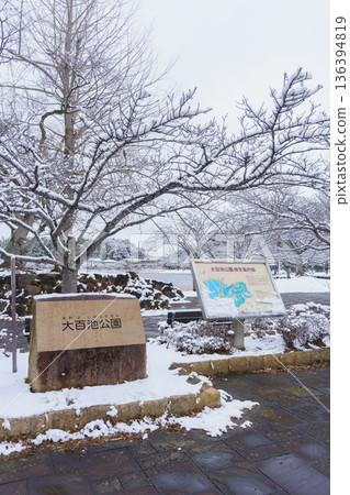 [Chiba City, Chiba Prefecture] Snow falling at Ohyakuike Park 136394819
