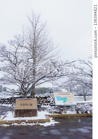 【千葉市,千葉縣】大葉池公園下雪了 【千葉市,千葉縣】大葉池公園下雪了 136394821