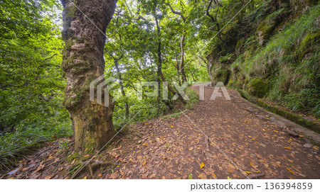Vereda dos Balcoes PR11 Mountain Footpath, Madeira, Portugal 136394859