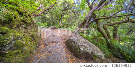 Levada das 24 Fontes, Levada Do Risco, Madeira, Portugal Levada das 24 Fontes, Levada Do Risco, Madeira, Portugal 136394922
