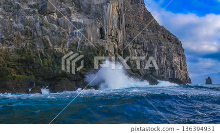 Wolf Island, Galapagos National Park 136394931