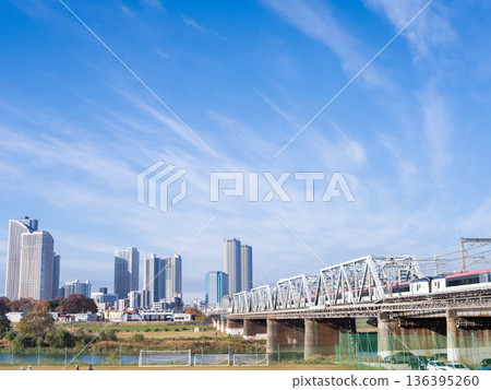 [Yokosuka Line] Narita Express heading towards Tokyo in the early morning 136395260