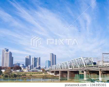 【湘南新宿線】清晨開往東京方向的列車 136395301