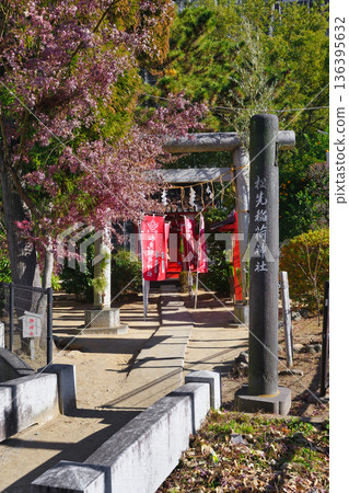 Matsusaki Inari Shrine (Matsudo City, Chiba Prefecture) 136395632