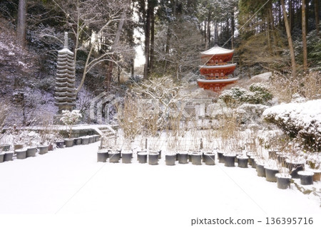Tahoto Pagoda on a snowy day 136395716