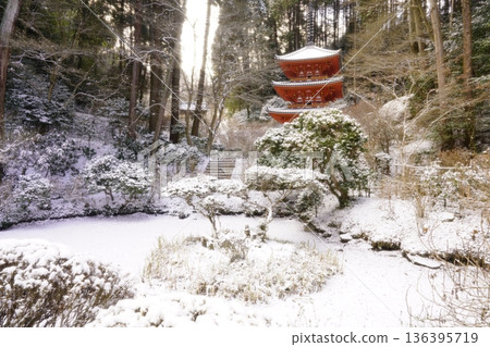 Tahoto Pagoda on a snowy day 136395719