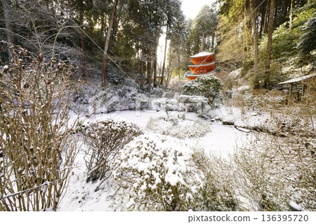Tahoto Pagoda on a snowy day 136395720