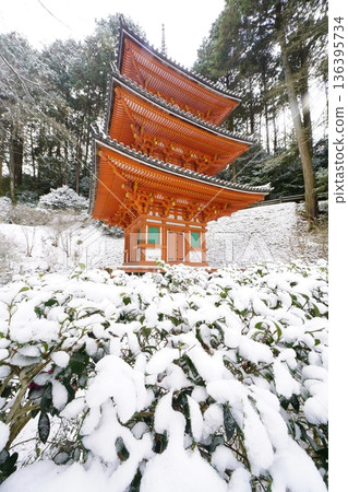 Tahoto Pagoda on a snowy day 136395734