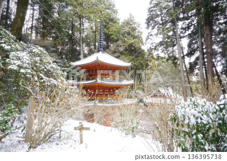 Tahoto Pagoda on a snowy day 136395738