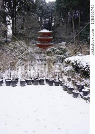 Tahoto Pagoda on a snowy day 136395743